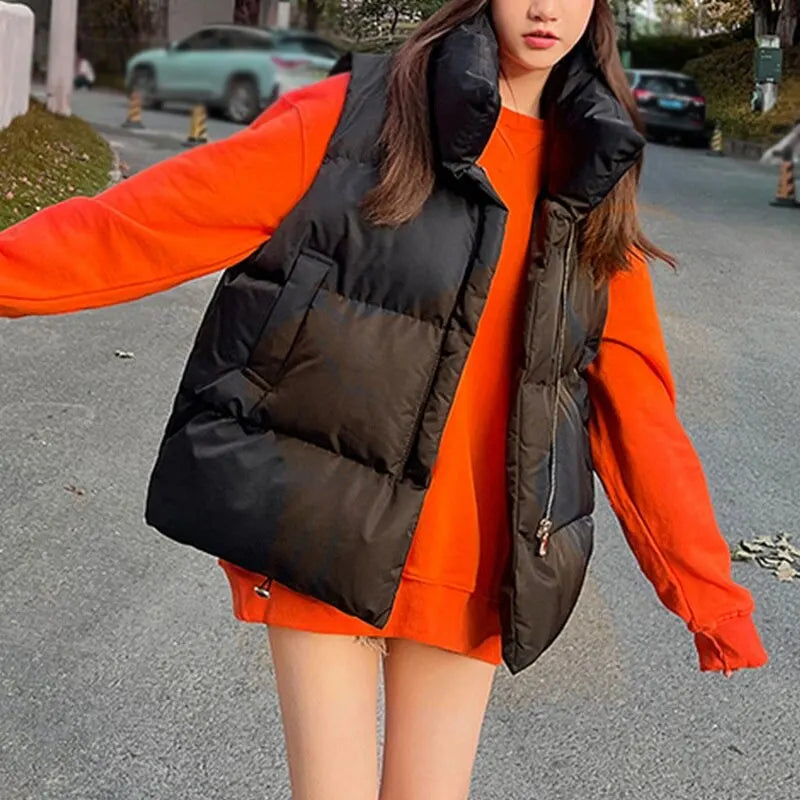 Fall & Winter
