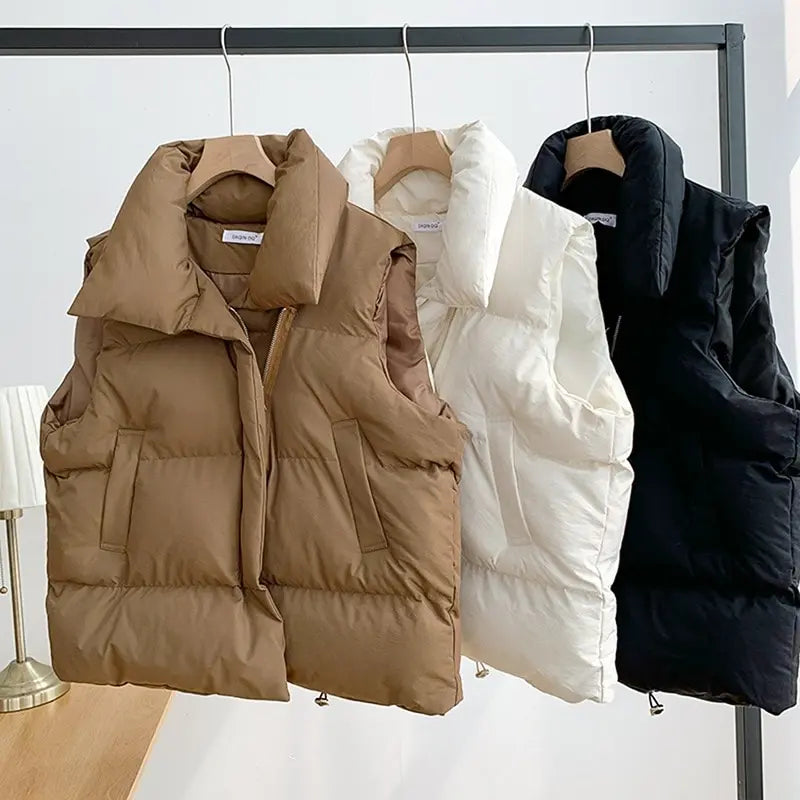 Fall & Winter