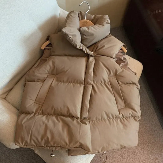 Fall & Winter