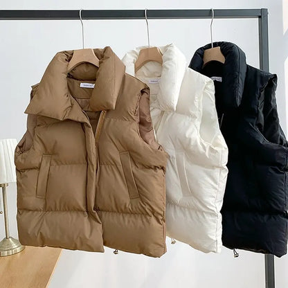 Fall & Winter